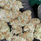 Bubble Bomb (Bomb Seeds) Cannabis-Samen