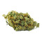 Mangobiche Kush Regular (CannaBioGen) Cannabis-Samen