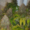 Durban Poison (Dutch Passion) Cannabis-Samen zu verkaufen