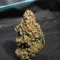 Wonder Pie (GHS)