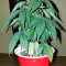 Red Russian XXL (Victory Seeds) Cannabis-Samen