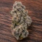 RS11 (Barney's Farm)