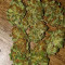 Venice Beach Afghan (Kera Seeds) Cannabis-Samen