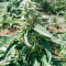 Auto Ultimate (Dutch Passion) Cannabis-Samen