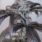 La Diva Auto (Delicious Seeds) Cannabis-Samen