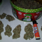 LSD Cannabis-Samen Kaufen