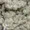 Bubble Kush Automatic Cannabis-Samen Kaufen