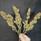 Liberty Haze Cannabis-Samen Kaufen