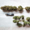 Black Jack (Sweet Seeds) Cannabis-Samen