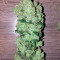 Ruderalis Skunk regular (Sensi Seeds) Cannabis-Samen