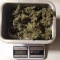 Green Crack Auto (Fast Buds) Cannabis-Samen zu verkaufen