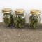 Auto Duck strain yield