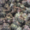 Kushberry (DNA Genetics) Cannabis-Samen