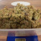Quick Critical + (Dinafem Seeds) Cannabis-Samen