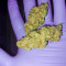 Banana Bomb (Bomb Seeds) Cannabis-Samen