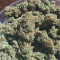 Do-Si-Dos OG Cannabis-Samen Kaufen