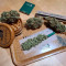 Cookies Gelato (RQS) Cannabis-Samen