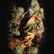 Kandy Kush (Reserva Privada) Cannabis-Samen