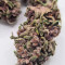 Bubba Kush Cannabis-Samen Kaufen