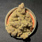 Chempie (Ripper Seeds) Cannabis-Samen