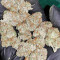 Bubble Bomb (Bomb Seeds) Cannabis-Samen