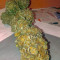 Franco's Lemon Cheese (GHS) Cannabis-Samen zu verkaufen