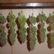 Dr. Bruce Banner CBD (Original Sensible Seeds) Cannabis-Samen zu verkaufen
