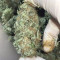 GG#4 Original Glue (Original Sensible Seeds) Cannabis-Samen zu verkaufen