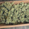 Afghani #1 Cannabis-Samen Kaufen