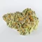 Kush Mints Fast Version feminisierte Samen (Seedkeepers)