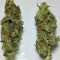Delicious Candy Early Version (Delicious Seeds) Cannabis-Samen
