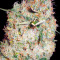 Northern Lights (Vision Seeds) Cannabis-Samen