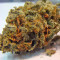 Acapulco Gold feminisiertes Saatgut (Barney's Farm)