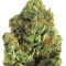 Midnight Mass (Heavyweight Seeds) Cannabis-Samen