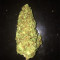 Pineapple Kush (RQS) Cannabis-Samen