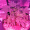 Swiss Cheese (Nirvana Seeds) Cannabis-Samen
