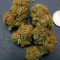Northern Light Blue (Delicious Seeds) Cannabis-Samen