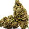 Cannatonic (Resin Seeds) Cannabis-Samen