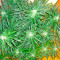 Sweet Coffee Ryder Auto (World of Seeds) Cannabis-Samen