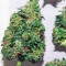 Automaria II (Paradise Seeds) Cannabis-Samen
