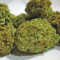 Hammershark (Resin Seeds) Cannabis-Samen