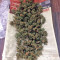 Wild Thailand (World of Seeds) Cannabis-Samen