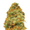Indian Kush (VIP seeds) Cannabis-Samen