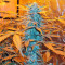 K-Train (GHS) Cannabis-Samen