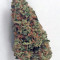 King’s Kush (GHS) Cannabis-Samen