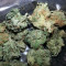 Grand Master Kush regular (Sumo Seeds) Cannabis-Samen