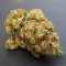 Bubble Kush (RQS) Cannabis-Samen