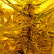 Skunk Auto (Strain Hunters) Cannabis-Samen