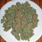 Strawberry Cake (Heavyweight Seeds)