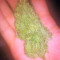 Colombian Gold (World of Seeds)